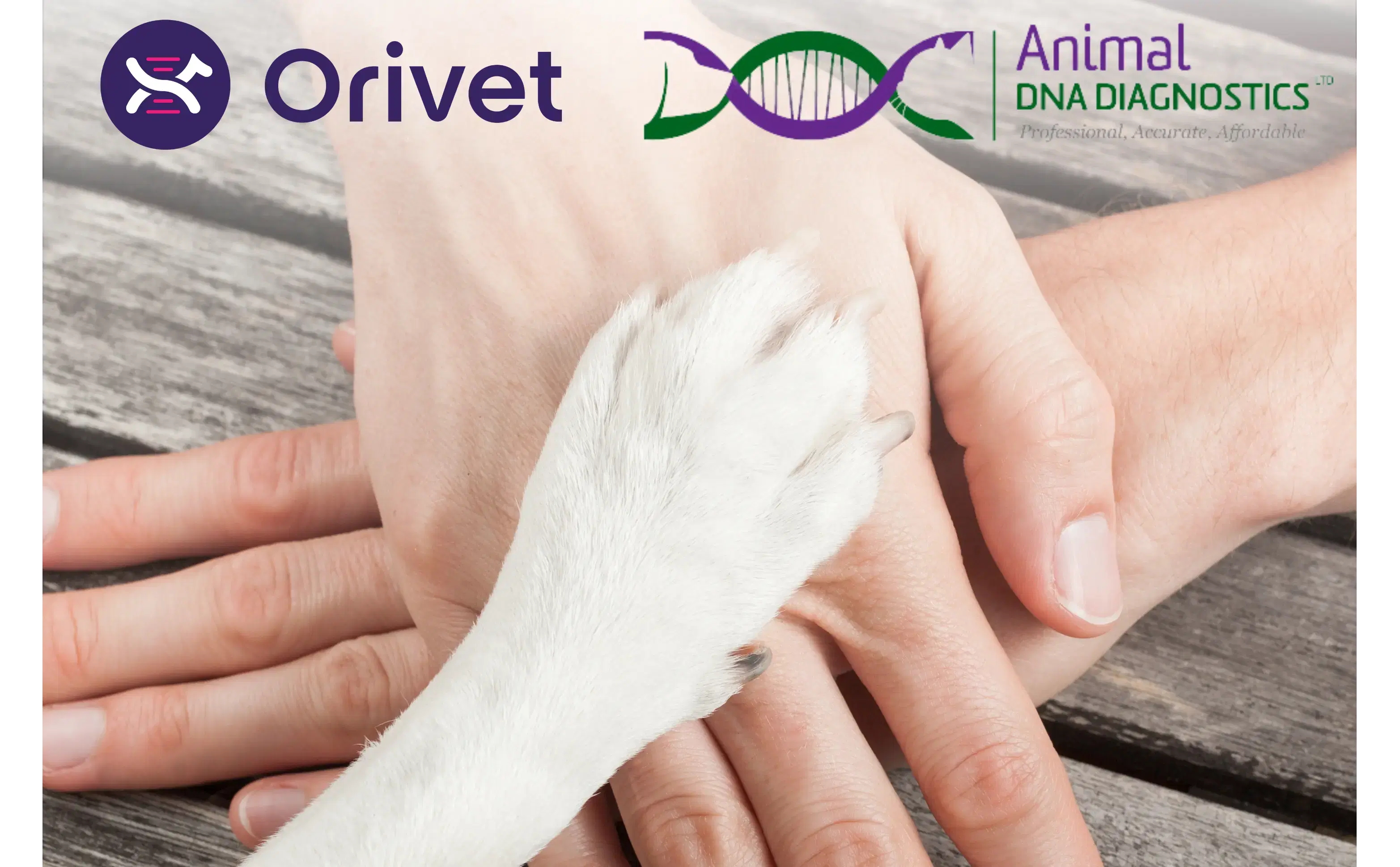  Animal DNA Diagnostics Acquired by Orivet!